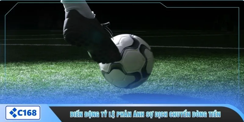 Biến động tỷ lệ phản ánh sự dịch chuyển dòng tiền 